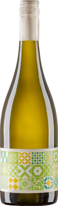 Gibson Discovery Road Fiano